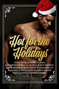 $1 Steamy Holiday Romance Box Set